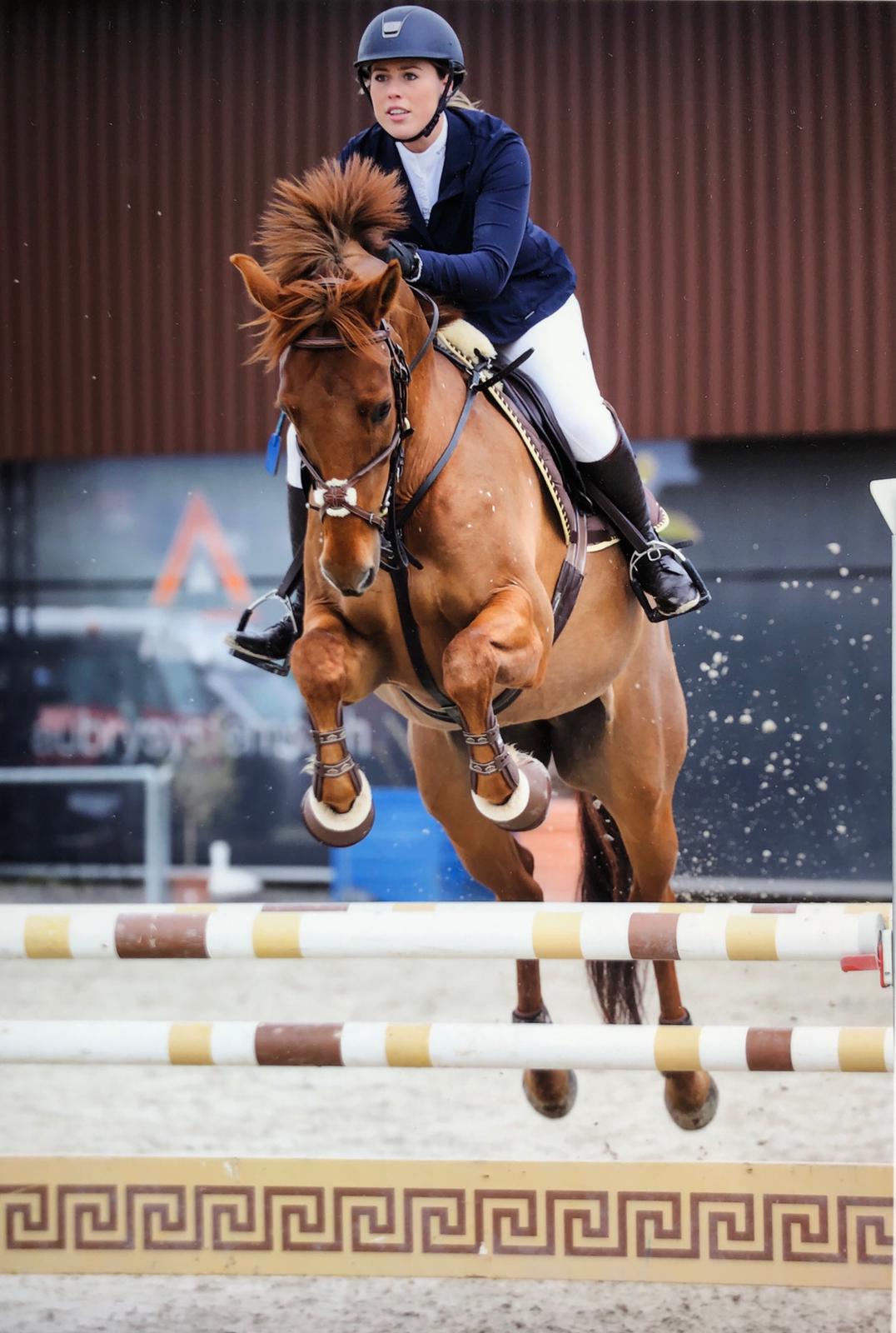 Stall Tanner an den Etterevents