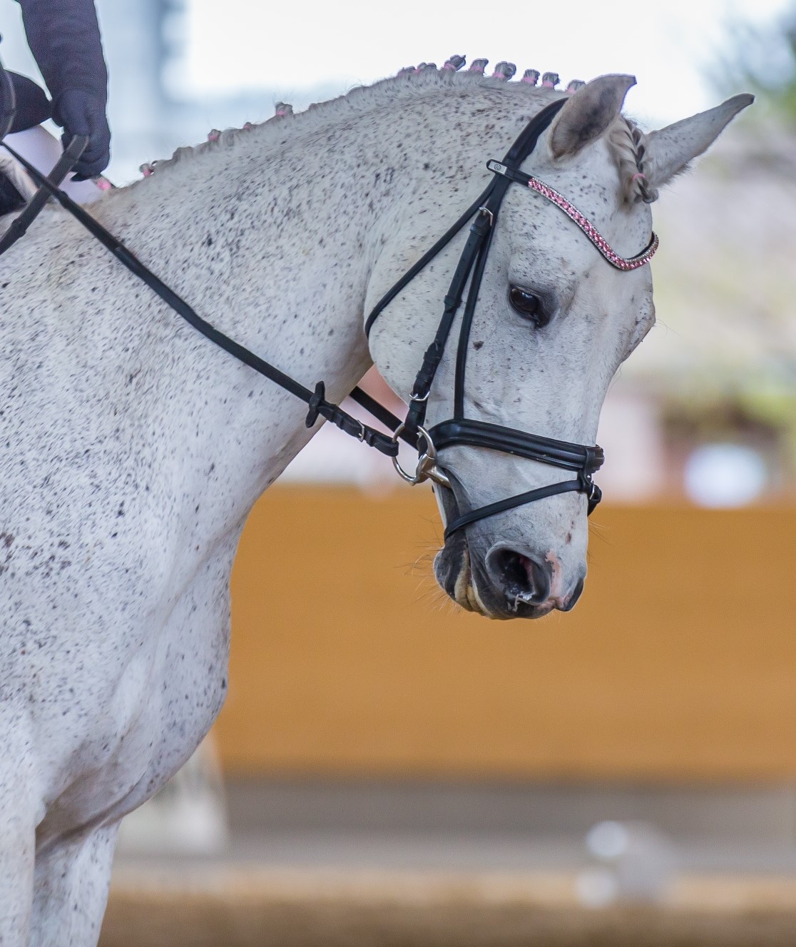 Vom Jura bis Solothurn